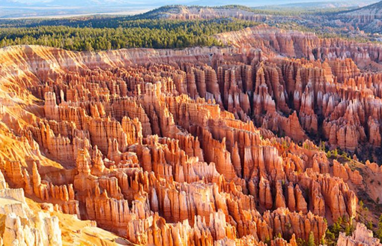 ua_Automaat-plaat-center-console_ua