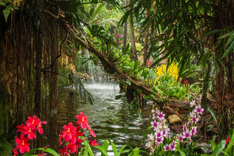 De Orchideeën Hoeve (2)