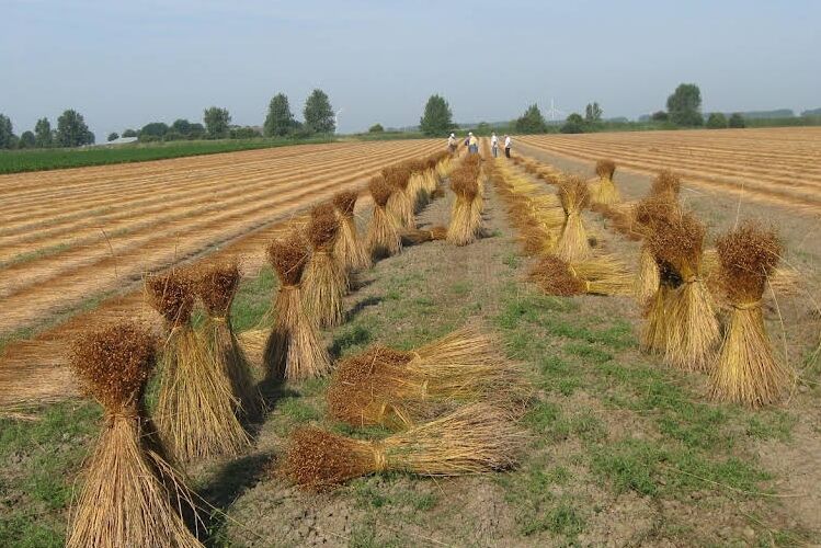 vlasmuseum-foto-11_UA