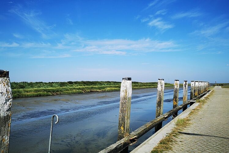 Voorjaarrit Regio Noord -onontdekte-plekken-Wadden-foto-horizontaal1_UA